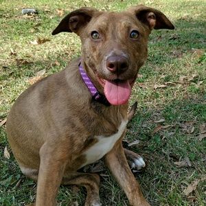 Meet your Posher, Cherish